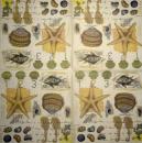 017 Muscheln - 3-lagig